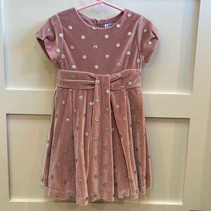 Beautiful Velour pink and silver dress
